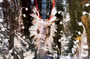 A blurry picture of a person in the woods.