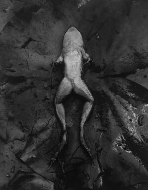 A naked man laying on the ground with his legs spread.