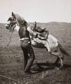 A man riding on the back of a horse.