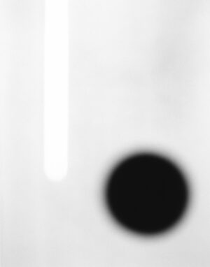 A black and white photo of an object in the air.