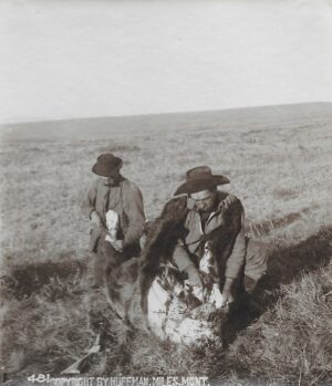 Two men in a field with sheep.