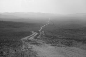 A dirt road going through the middle of nowhere.