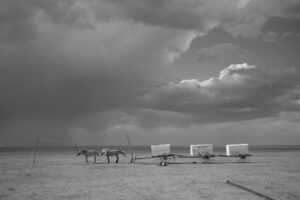 A black and white photo of benches on the beach