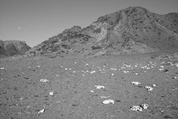 A black and white photo of some rocks on the ground