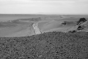 A black and white photo of the desert.