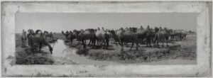 A herd of camel walking across the desert.