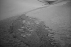 A black and white photo of sand dunes.
