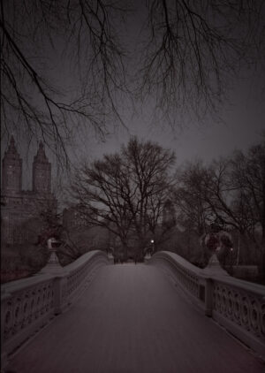 A bridge with trees in the background