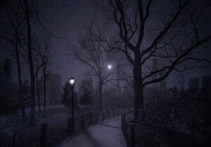 A street light and trees in the dark