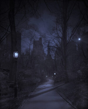 A dark night with trees and lights in the background