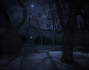 A night scene of trees and buildings in the dark.