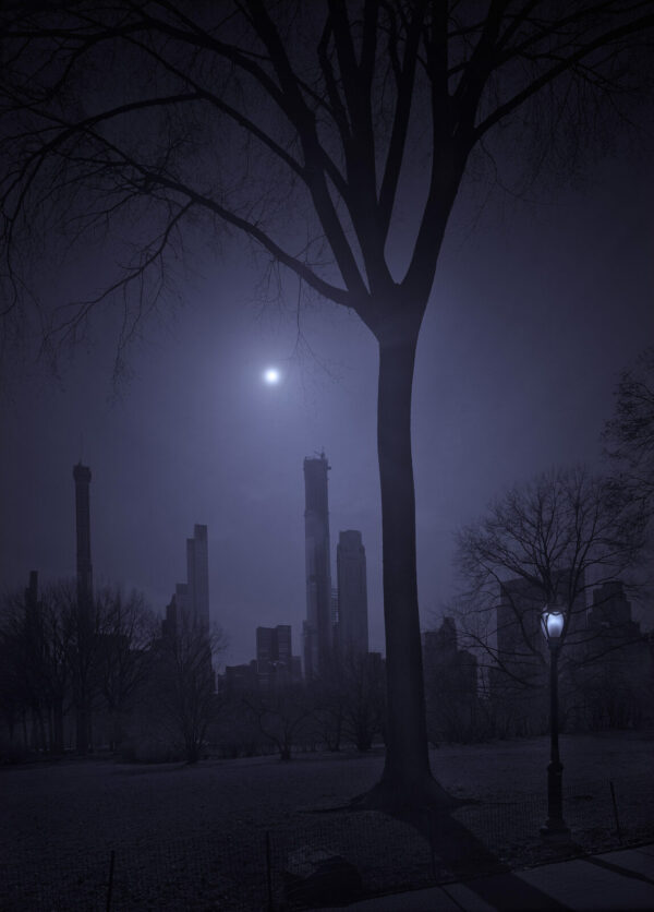 A tree in the middle of a park with buildings and trees
