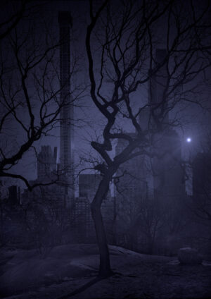 A tree in the middle of a dark forest.