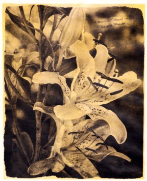 A sepia photograph of flowers in bloom.