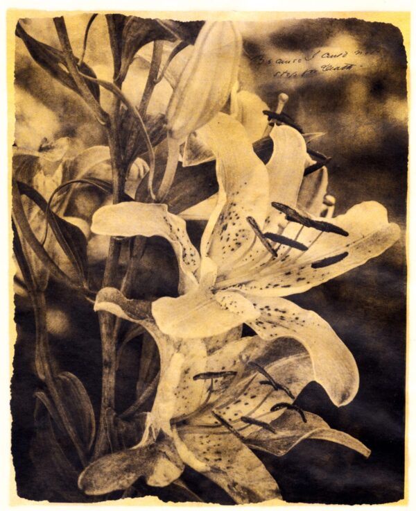 A sepia photograph of flowers in bloom.