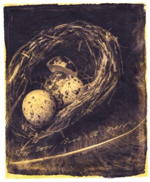 A bird 's nest with two eggs in it.