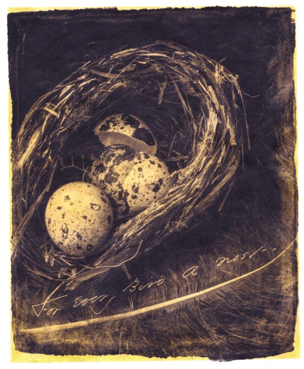 A bird 's nest with two eggs in it.