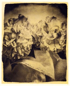 A black and white photo of flowers in the sun.