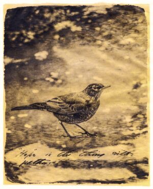 A bird is standing on the ground in front of some writing.
