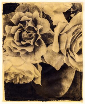 A black and white photo of some flowers