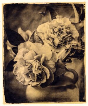 A black and white photo of two flowers in a vase.