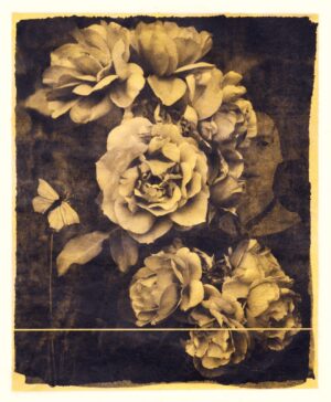A black and white photo of flowers in the dark.
