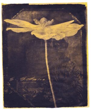 A painting of a flower with a fairy on it.