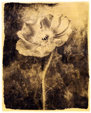 A black and white photo of a flower.