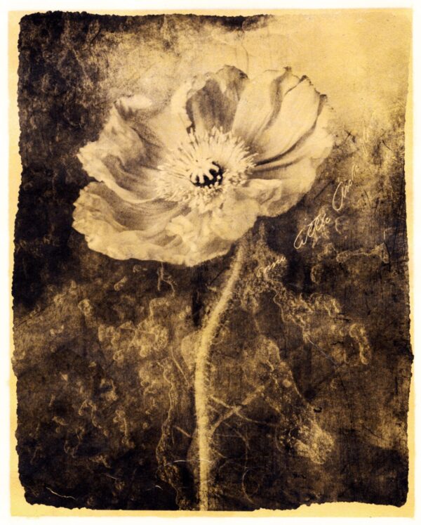 A black and white photo of a flower.
