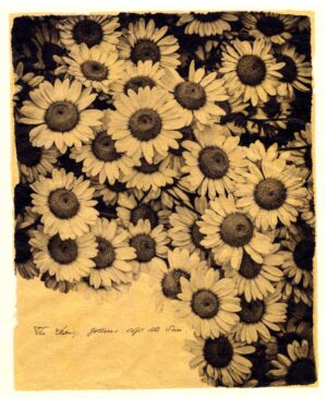 A bunch of sunflowers are in the middle of a field.