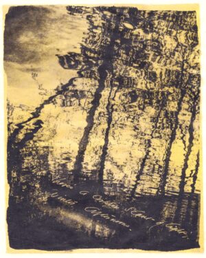 A black and white photo of trees reflected in water.