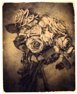 A black and white photo of roses in the dark.