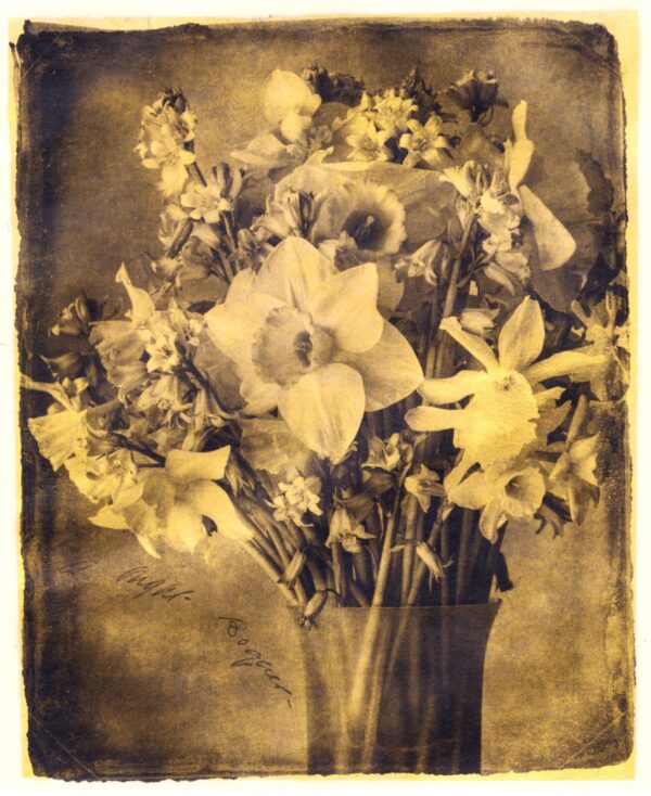 A vase filled with flowers sitting on top of a table.