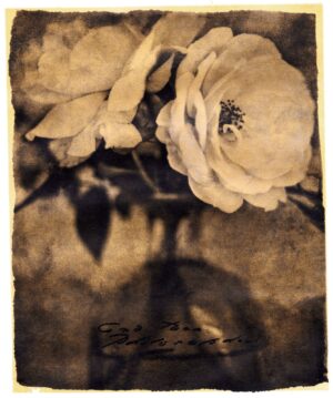 A faded photo of a rose in the dark.