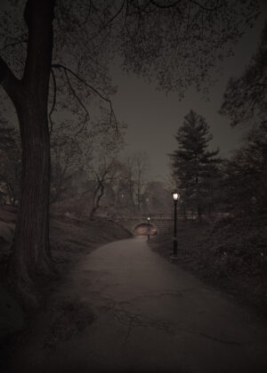 A dark path with trees and lights on it.