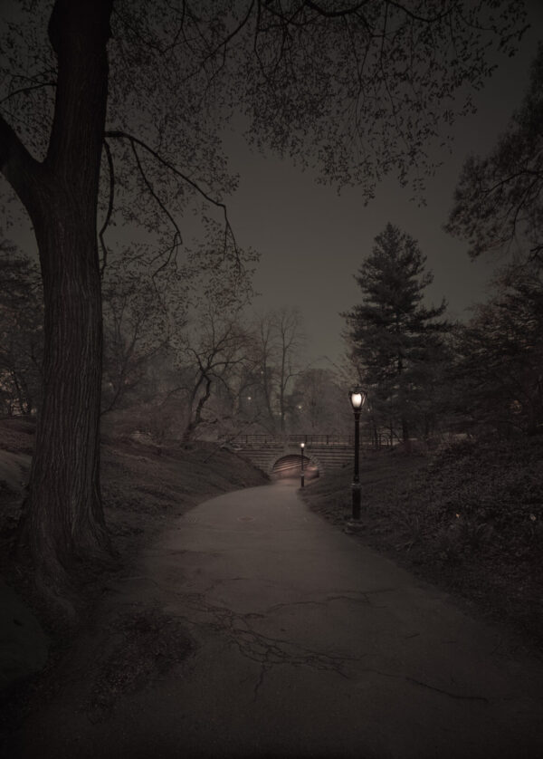 A dark path with trees and lights on it.