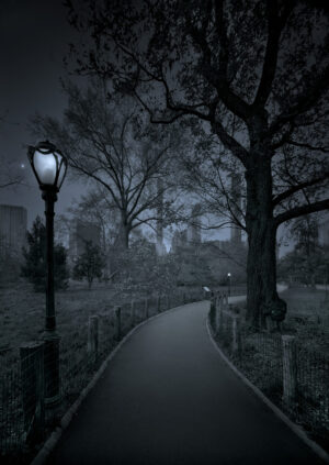A path in the middle of a park at night.