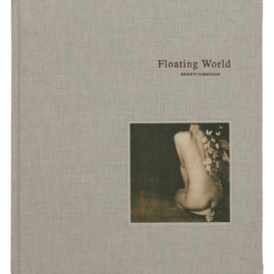 A book cover with an image of a woman 's back.