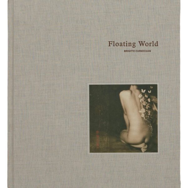A book cover with an image of a woman 's back.