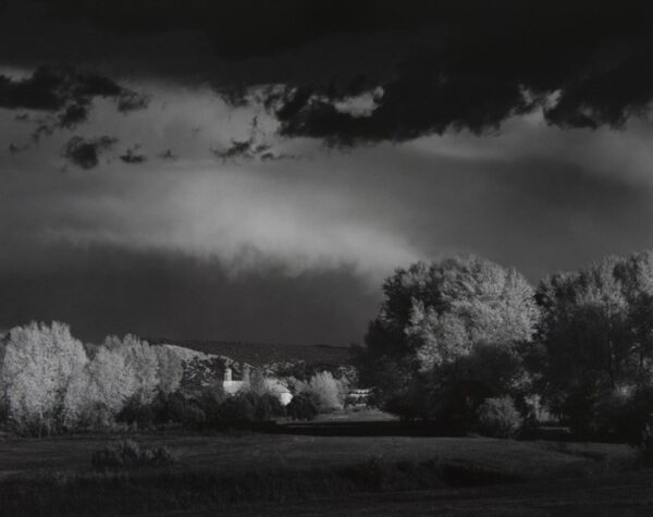 A black and white photo of trees in the distance