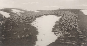 A black and white photo of a stream in the middle of a field.