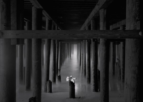 A black and white photo of pillars in the middle of an area.