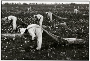 A group of men working in an open field.