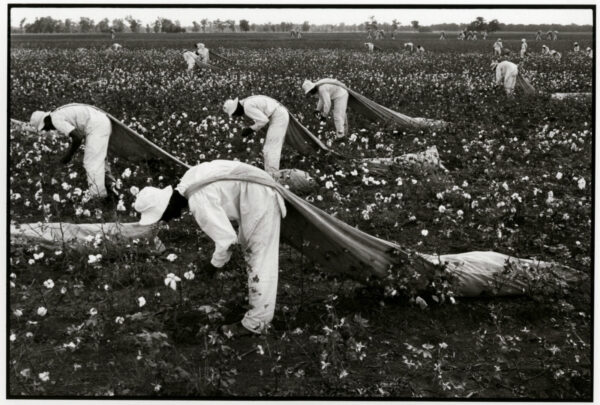 A group of men working in an open field.