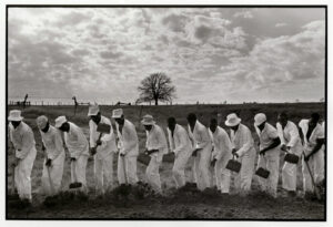 A group of men in white suits and hats are digging holes.