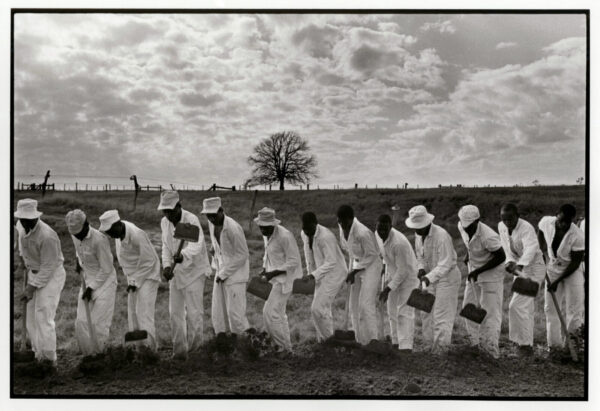 A group of men in white suits and hats are digging holes.