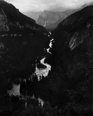 A black and white photo of mountains with trees.