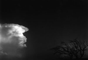 A cloud is shown in the sky with trees.