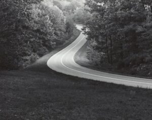 A road going through the middle of a forest.