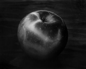 A black and white photo of an apple